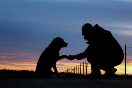 Ein Herrchen l&auml;sst sich von einem gro&szlig;en Hund die Pfote geben. Im Hintergrund ein Sonnenuntergang.